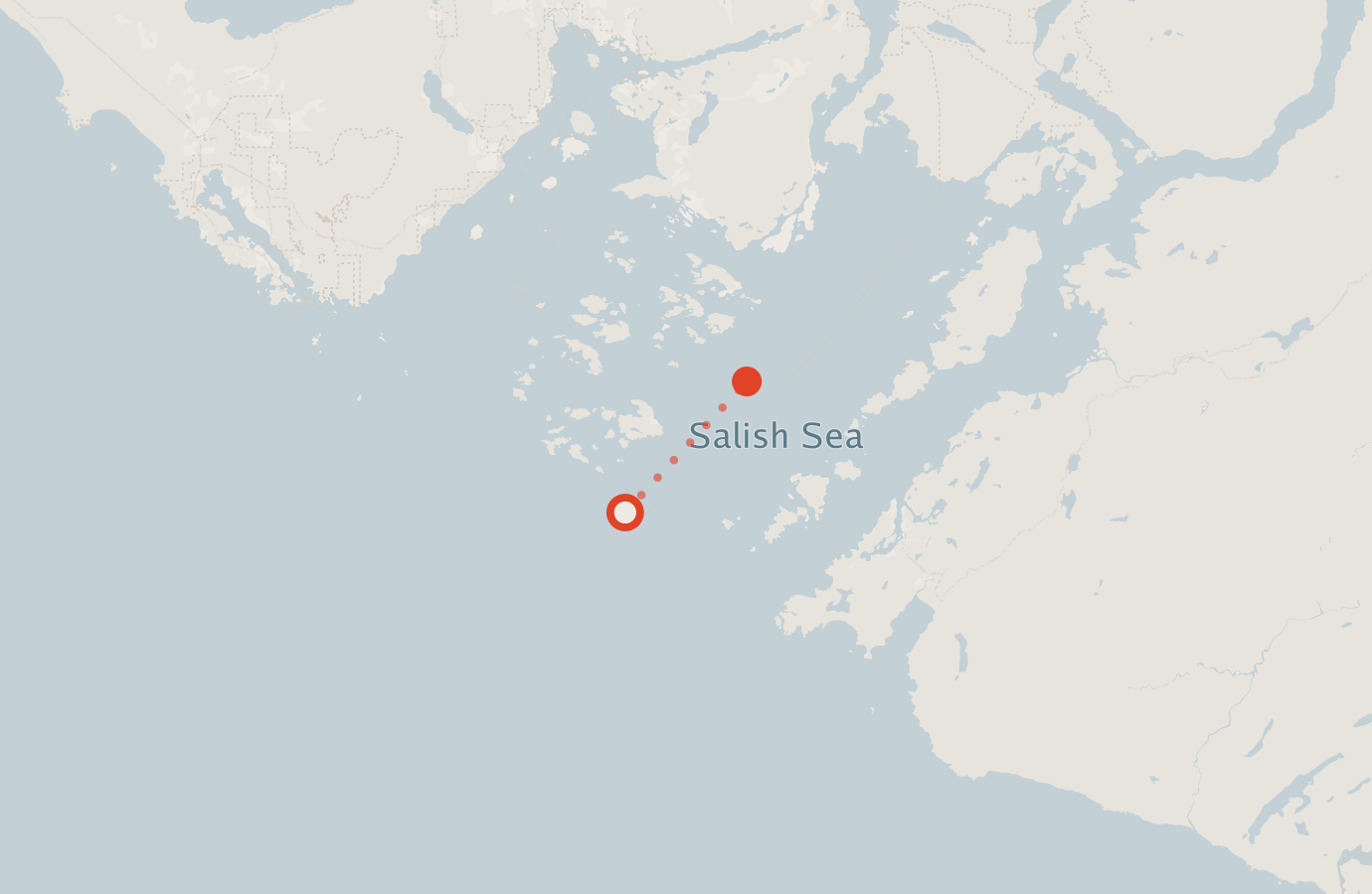 Activity map — real sighting points on an OpenStreetMap basemap