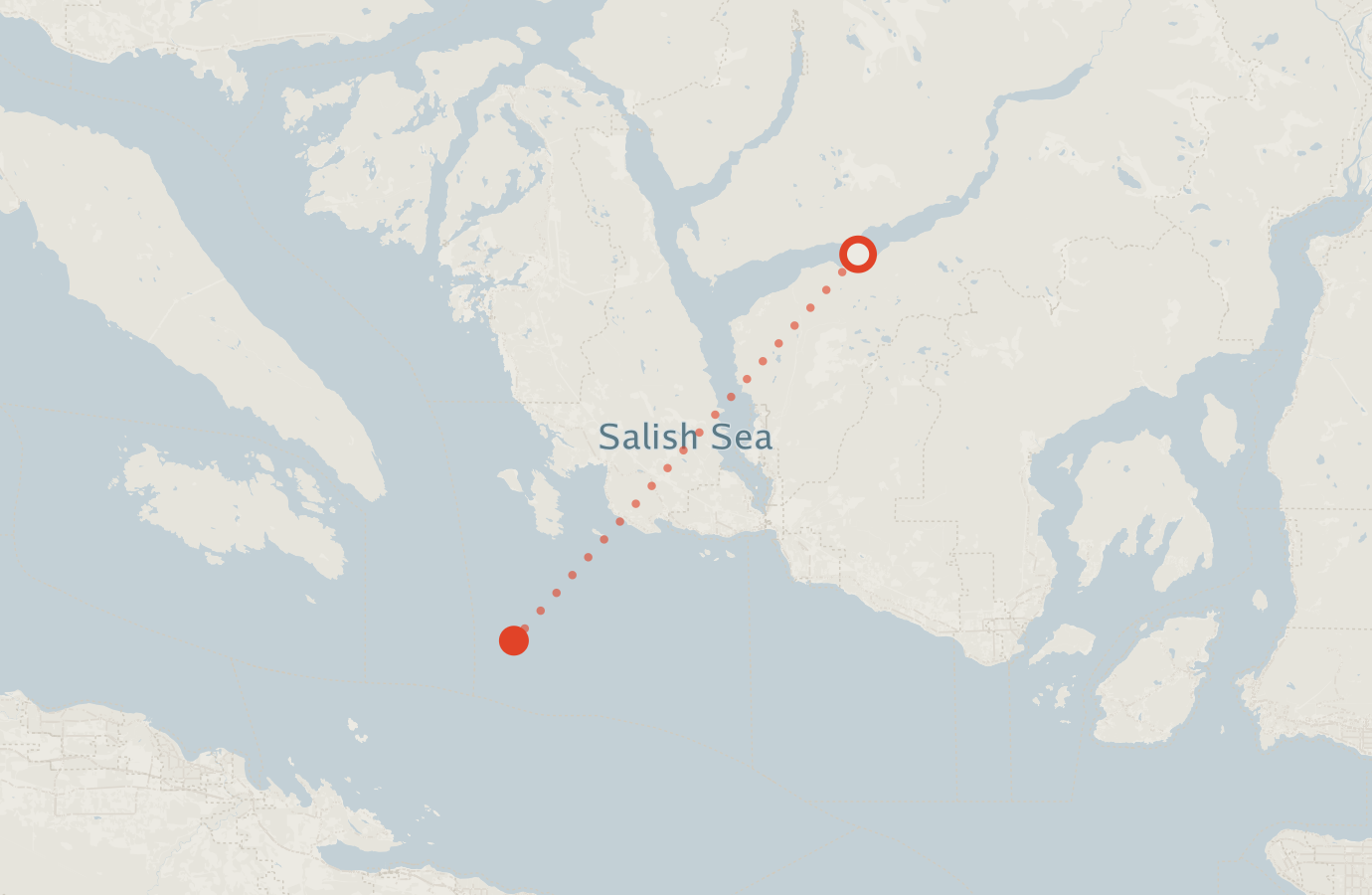 Activity map — real sighting points on an OpenStreetMap basemap