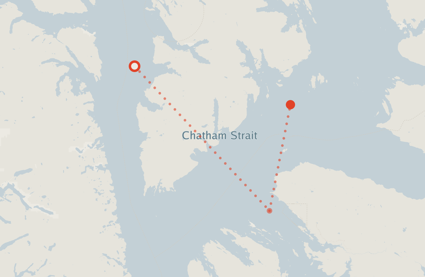 Activity map — real sighting points on an OpenStreetMap basemap