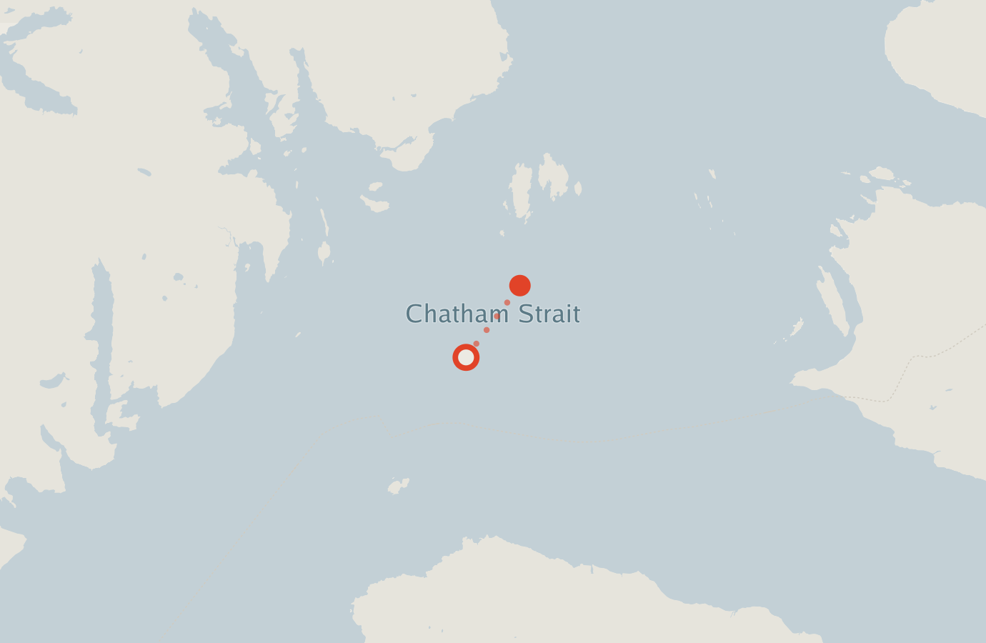 Activity map — real sighting points on an OpenStreetMap basemap