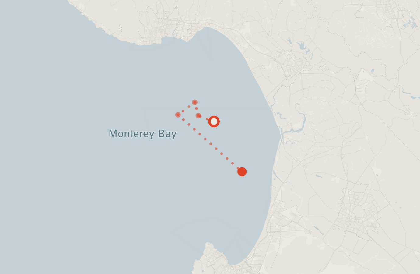Activity map — real sighting points on an OpenStreetMap basemap