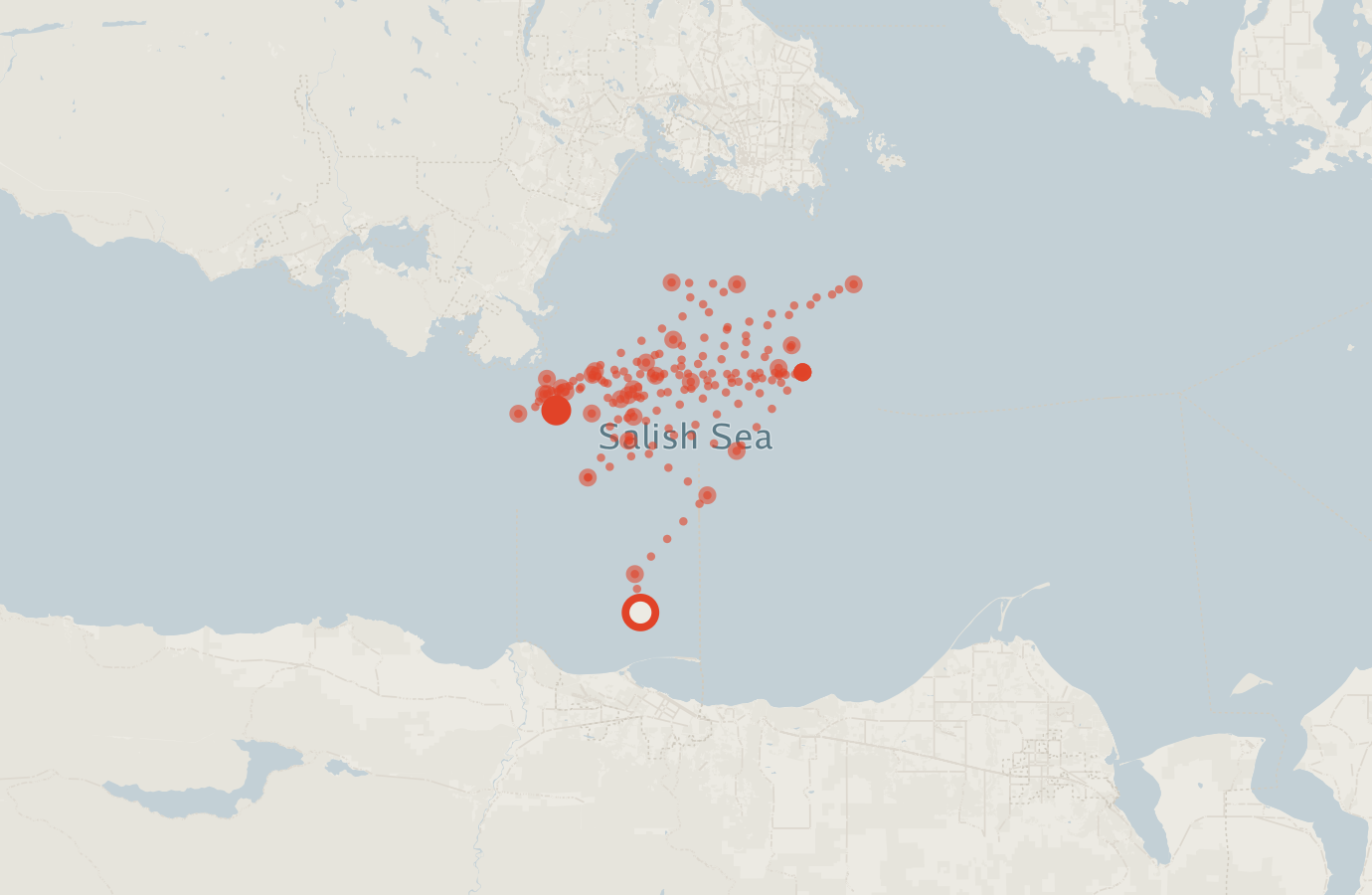 Activity map — real sighting points on an OpenStreetMap basemap