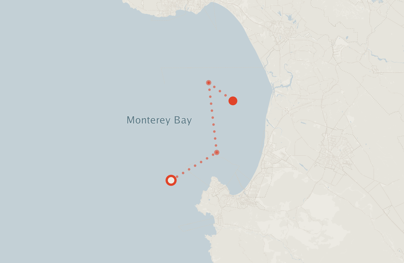 Activity map — real sighting points on an OpenStreetMap basemap