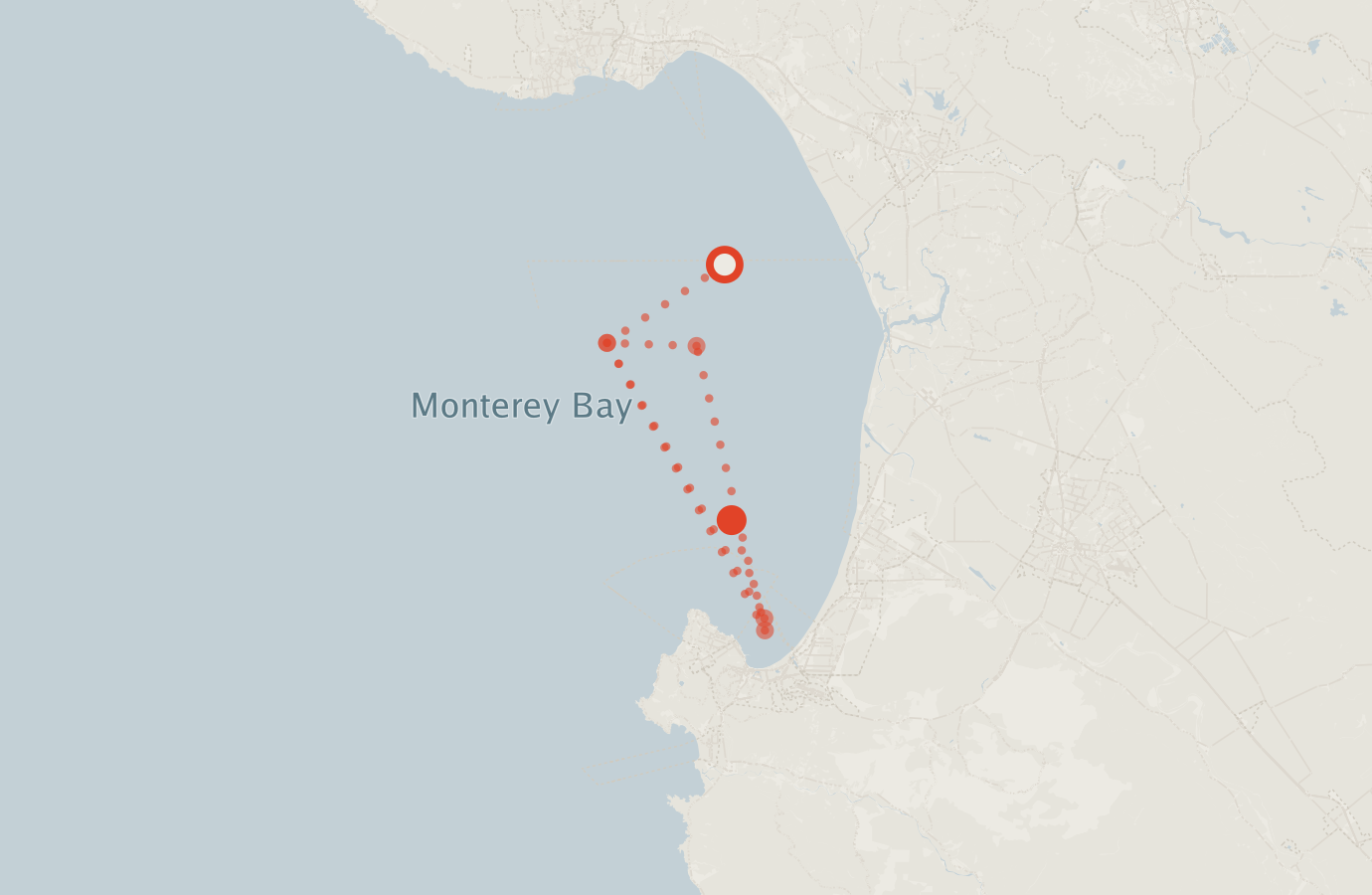 Activity map — real sighting points on an OpenStreetMap basemap