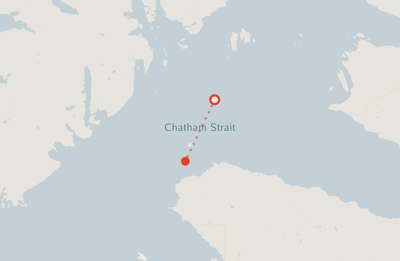 Activity map — real sighting points on an OpenStreetMap basemap
