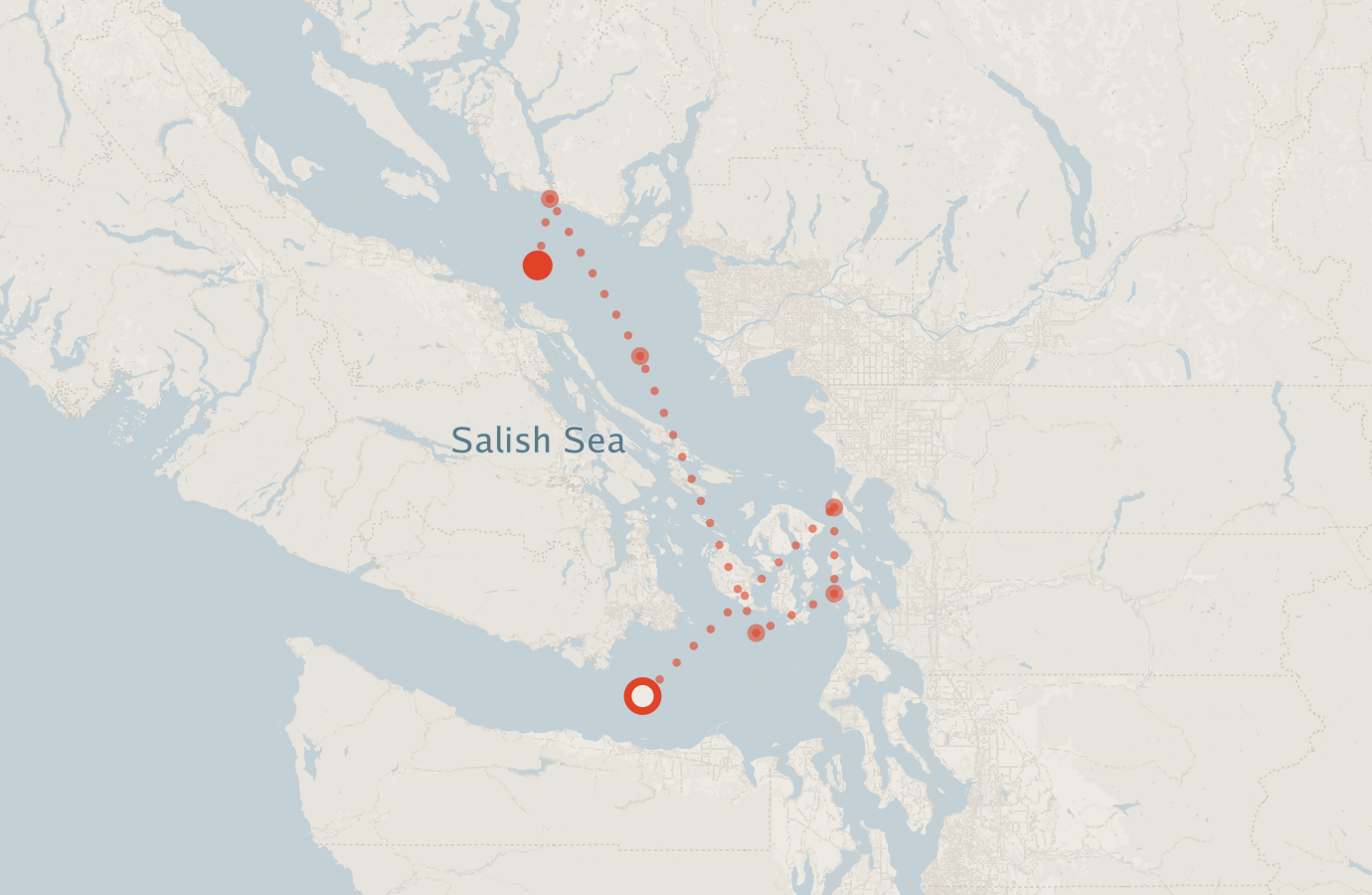 Activity map — real sighting points on an OpenStreetMap basemap