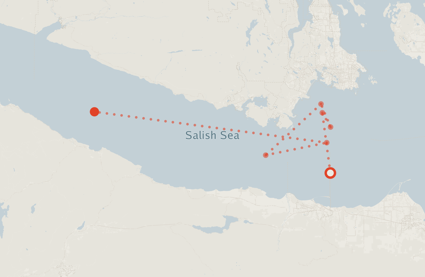 Activity map — real sighting points on an OpenStreetMap basemap
