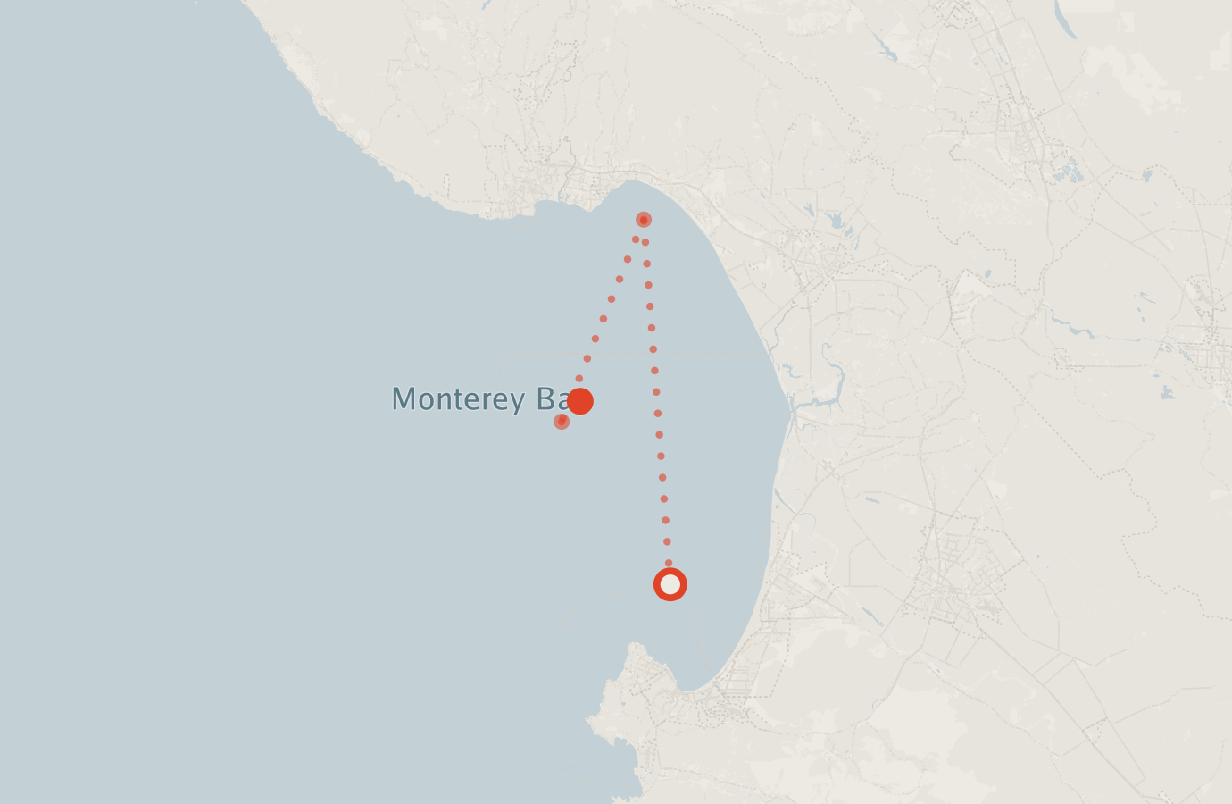 Activity map — real sighting points on an OpenStreetMap basemap