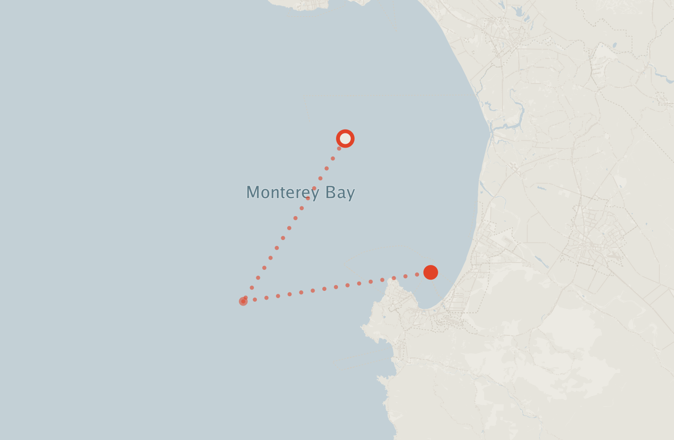 Activity map — real sighting points on an OpenStreetMap basemap