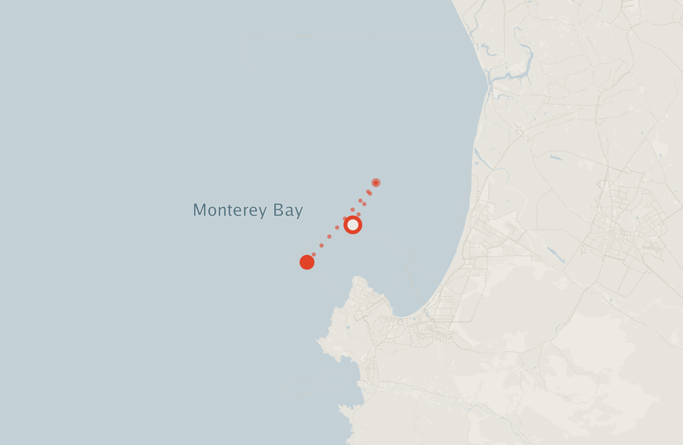Activity map — real sighting points on an OpenStreetMap basemap
