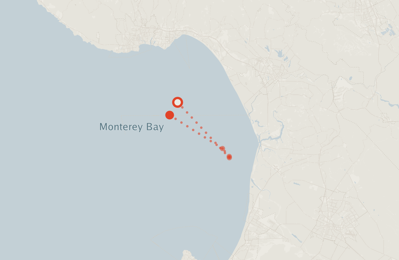 Activity map — real sighting points on an OpenStreetMap basemap