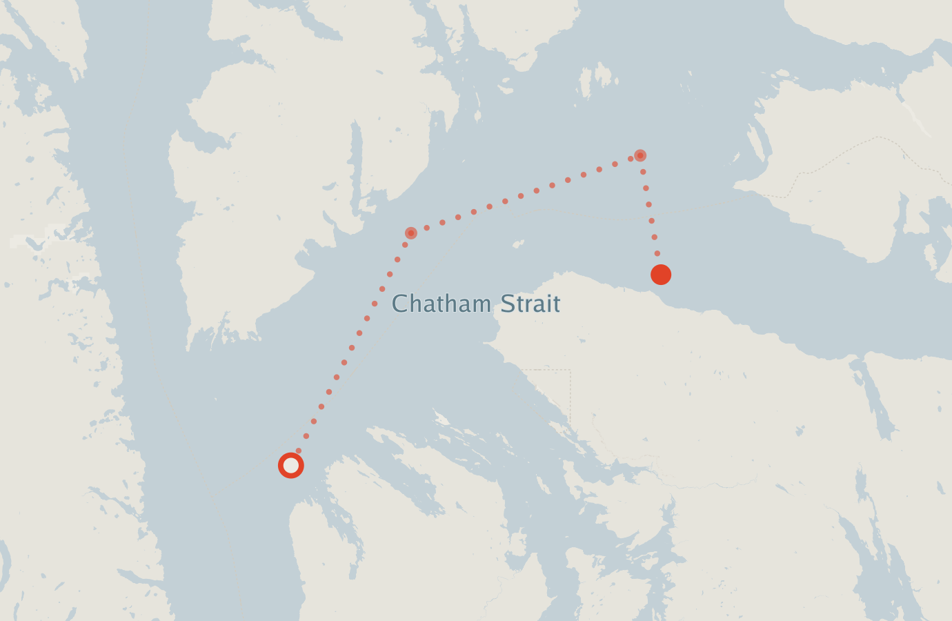 Activity map — real sighting points on an OpenStreetMap basemap