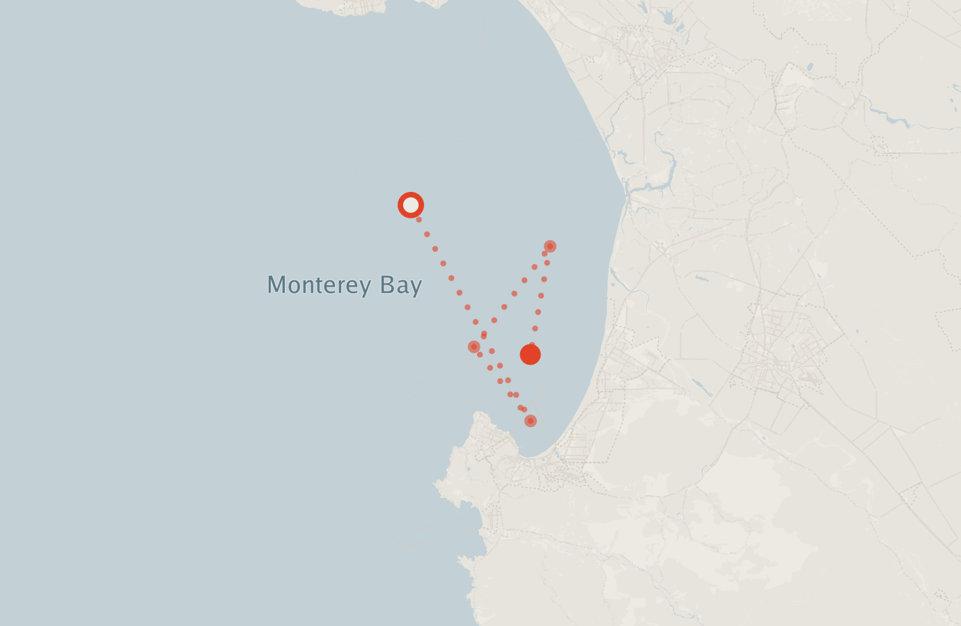 Activity map — real sighting points on an OpenStreetMap basemap