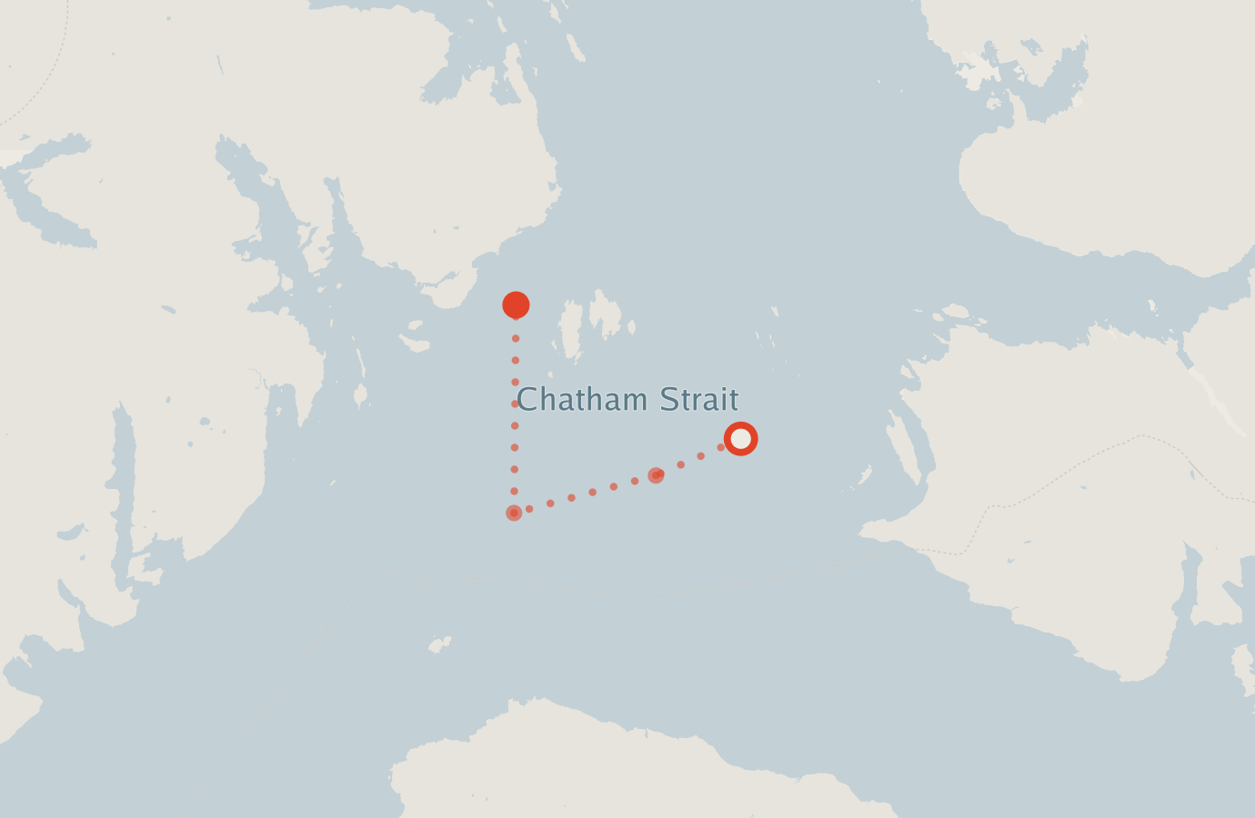 Activity map — real sighting points on an OpenStreetMap basemap