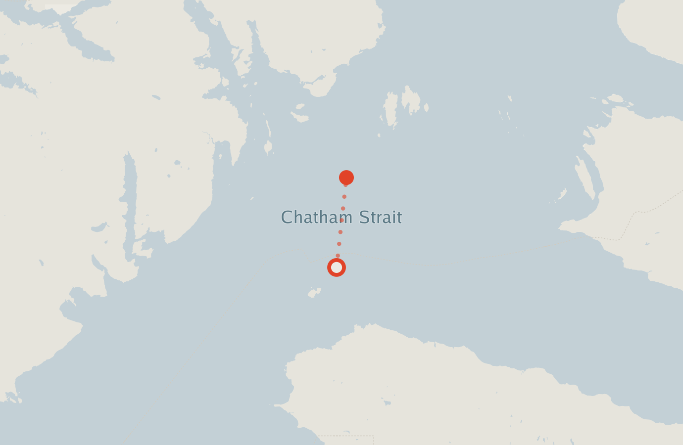 Activity map — real sighting points on an OpenStreetMap basemap