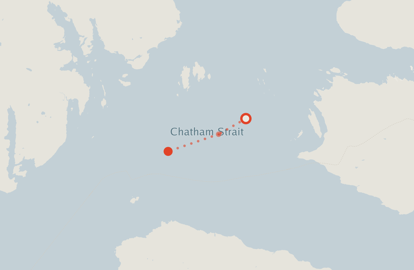 Activity map — real sighting points on an OpenStreetMap basemap