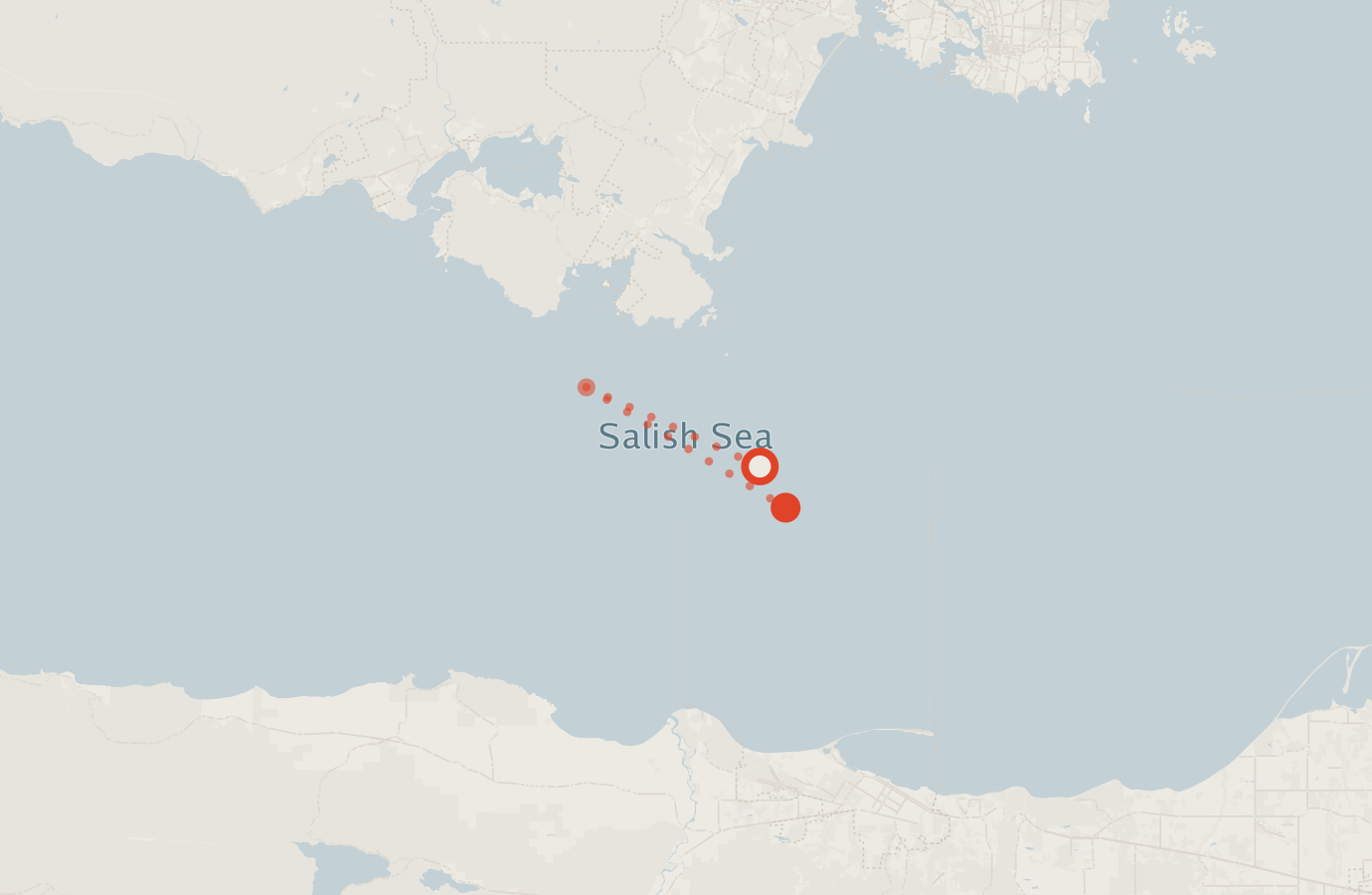 Activity map — real sighting points on an OpenStreetMap basemap