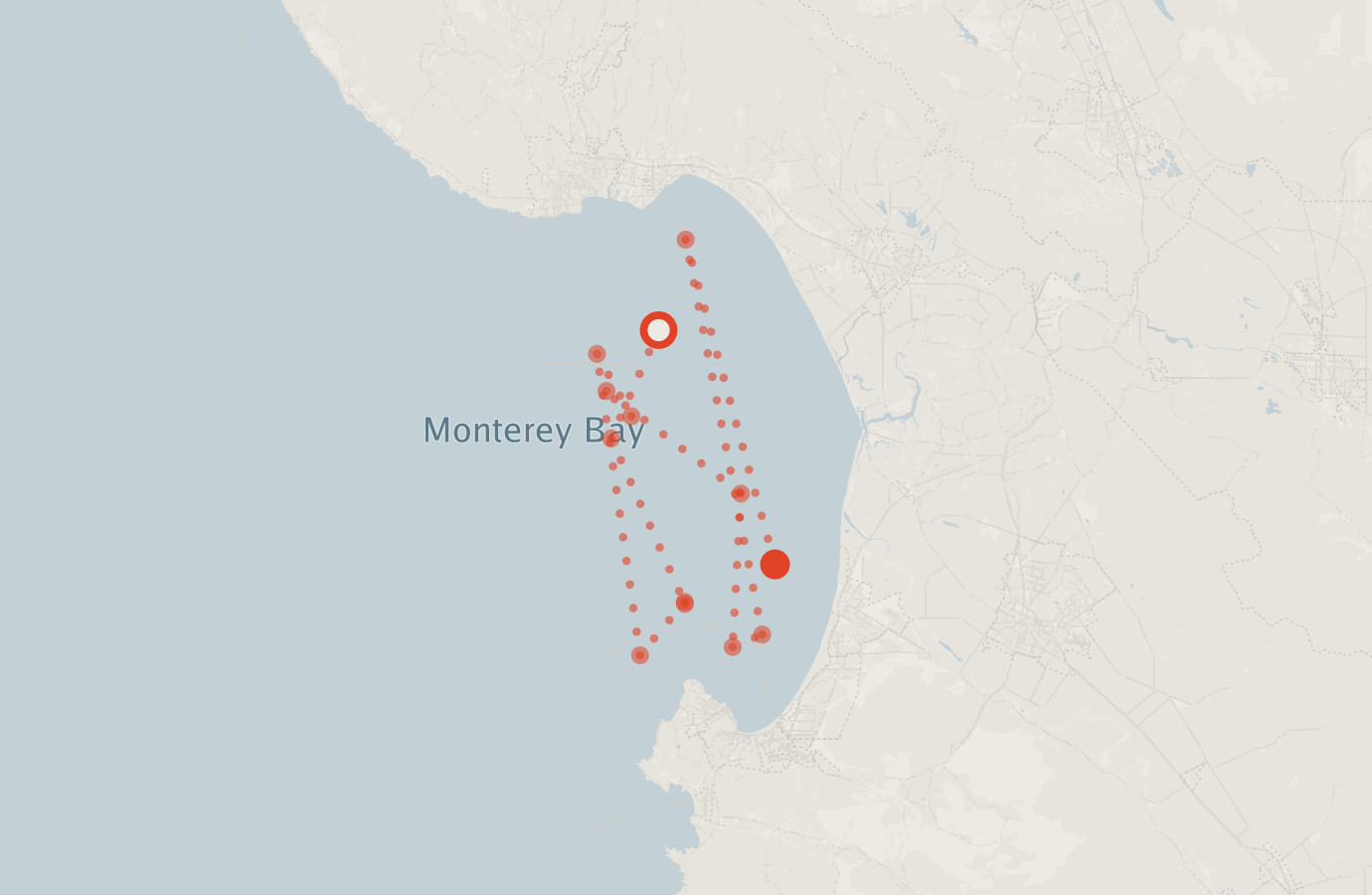 Activity map — real sighting points on an OpenStreetMap basemap