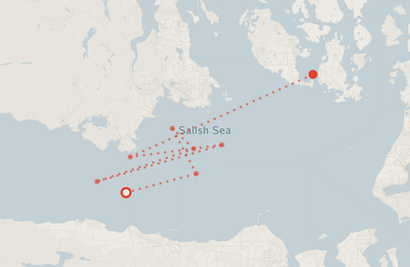 Activity map — real sighting points on an OpenStreetMap basemap