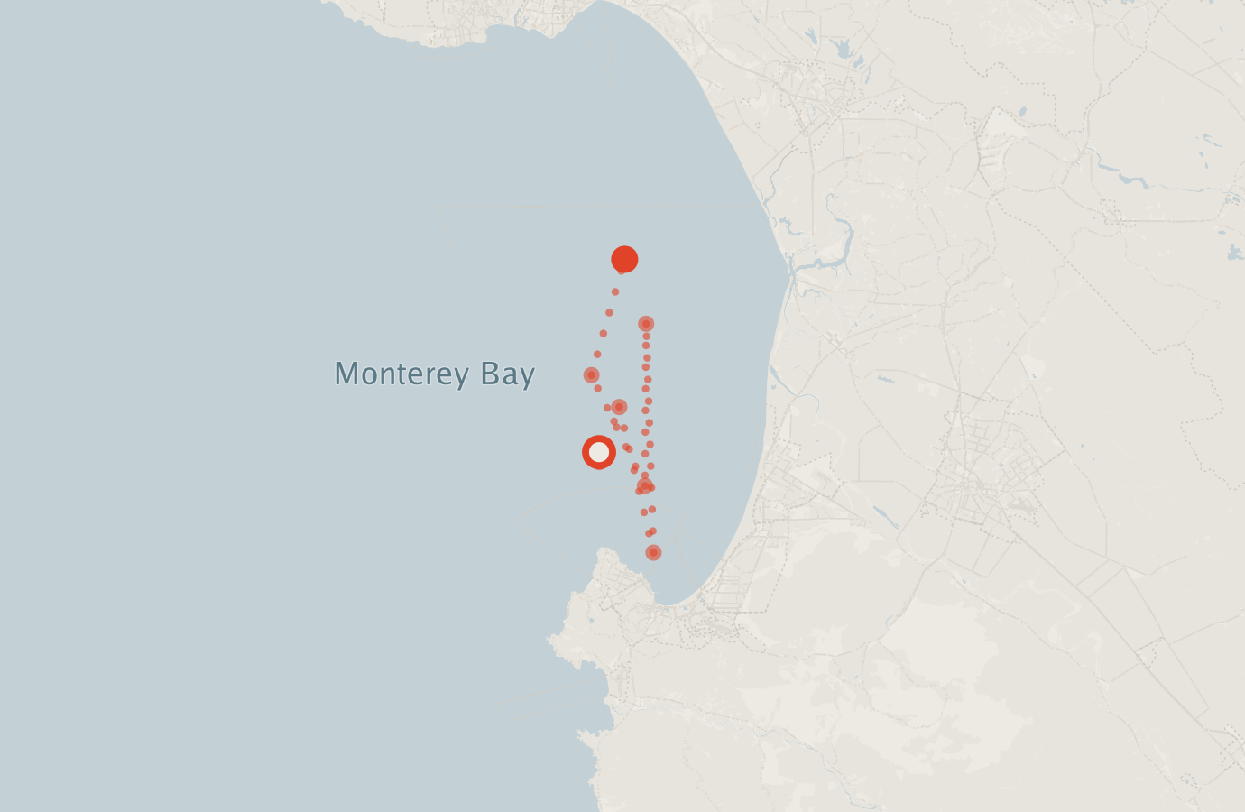 Activity map — real sighting points on an OpenStreetMap basemap