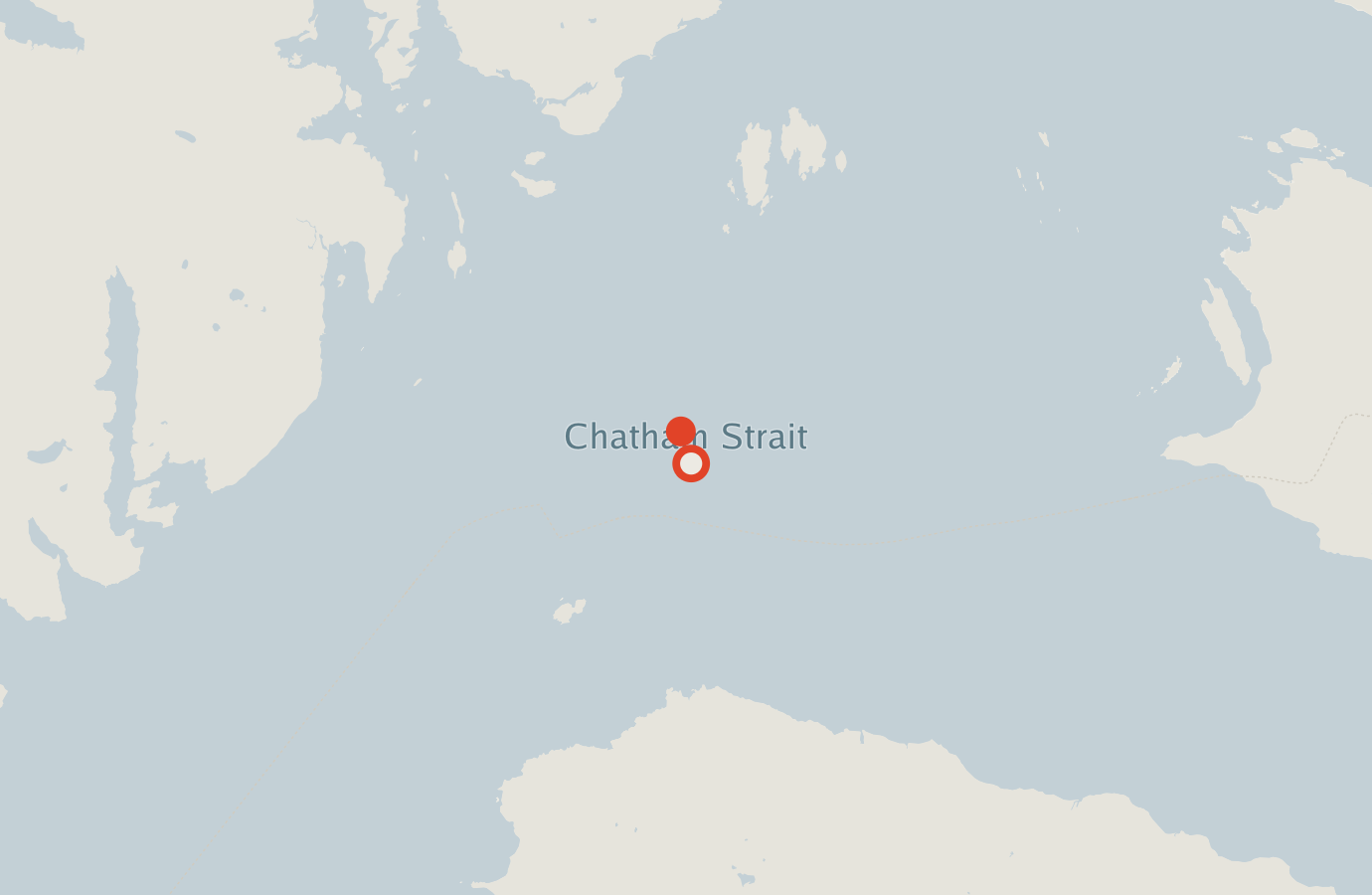 Activity map — real sighting points on an OpenStreetMap basemap