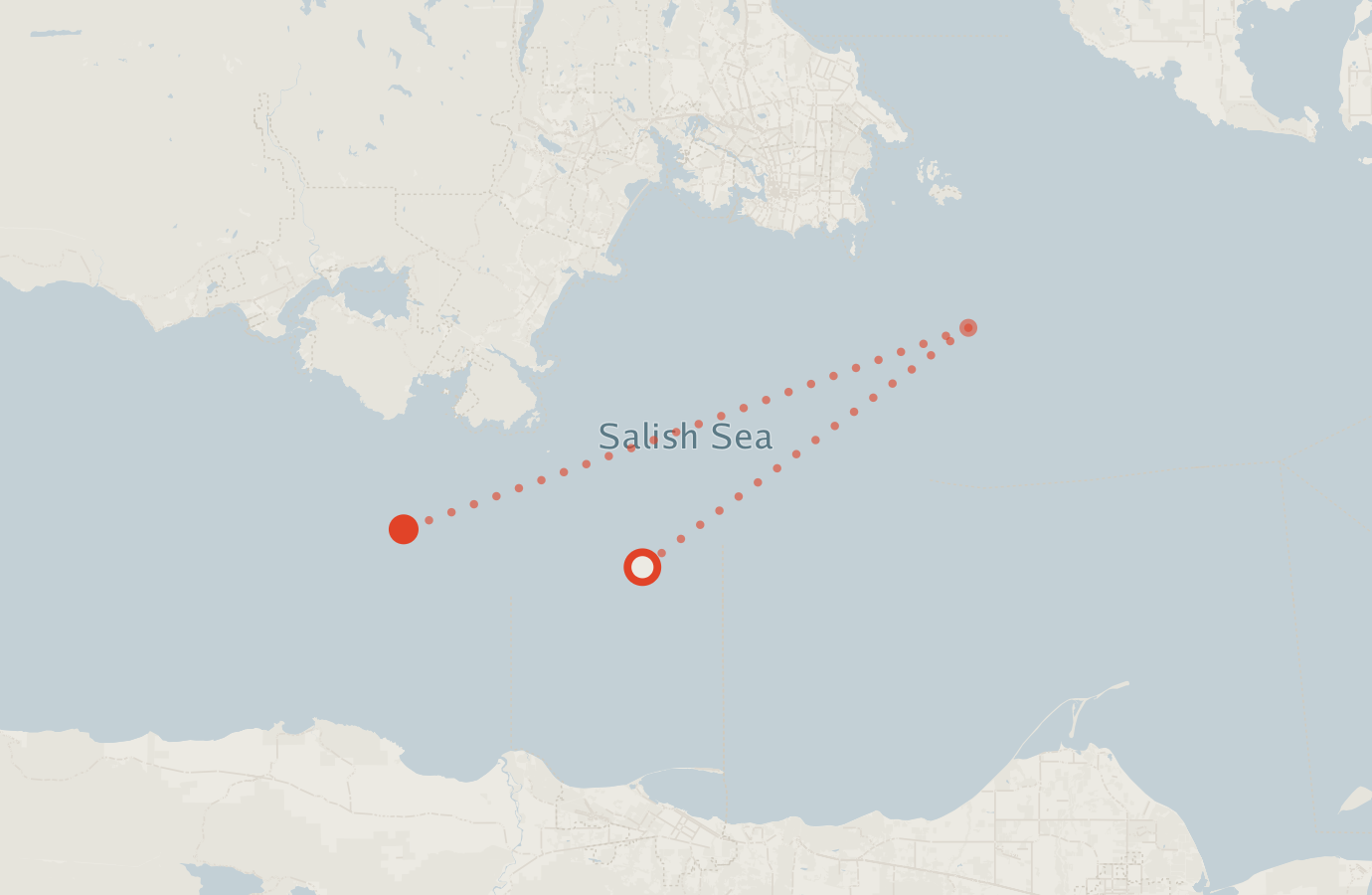 Activity map — real sighting points on an OpenStreetMap basemap