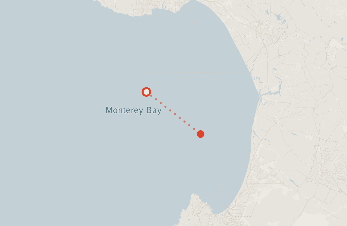 Activity map — real sighting points on an OpenStreetMap basemap