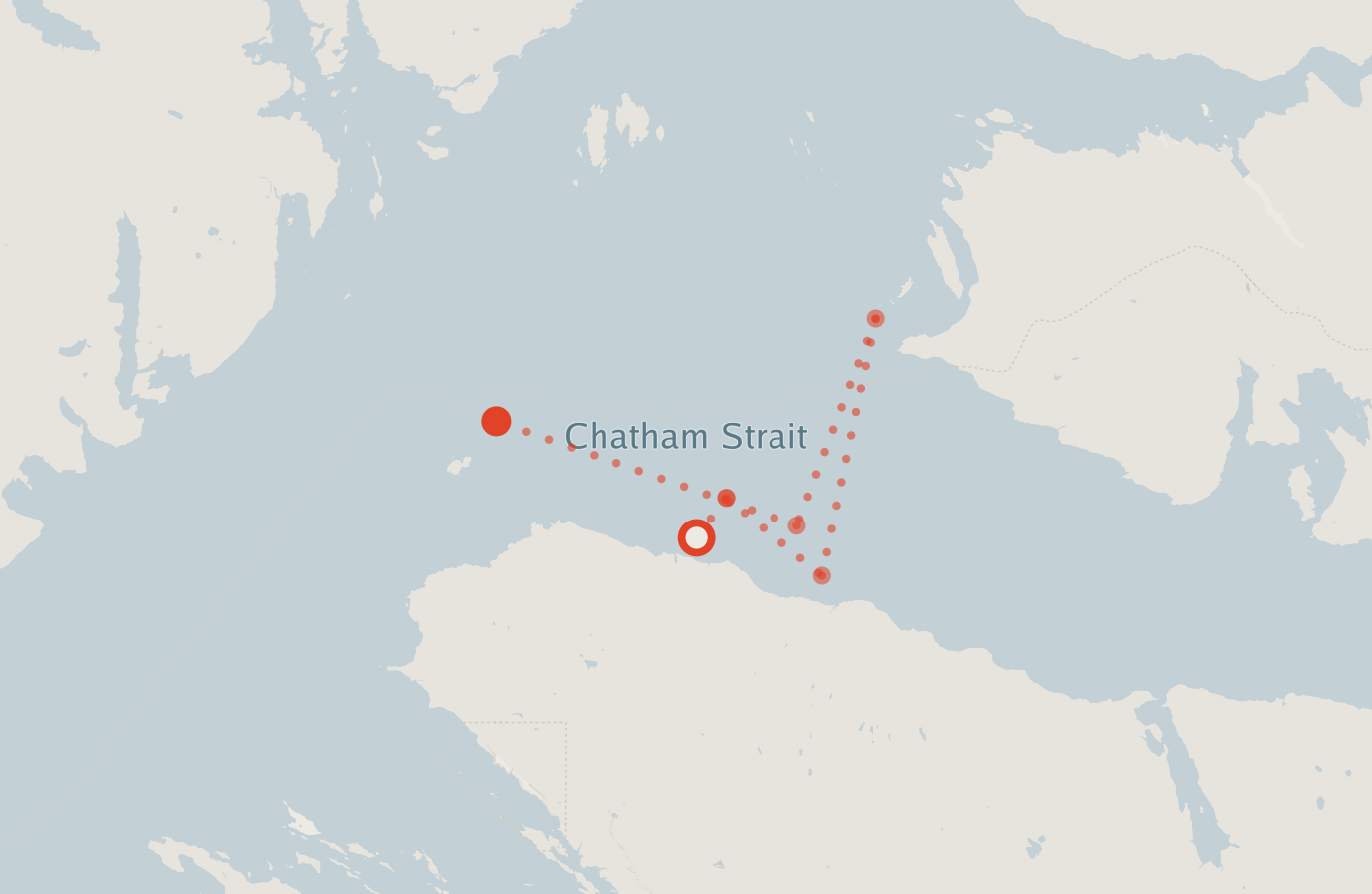 Activity map — real sighting points on an OpenStreetMap basemap