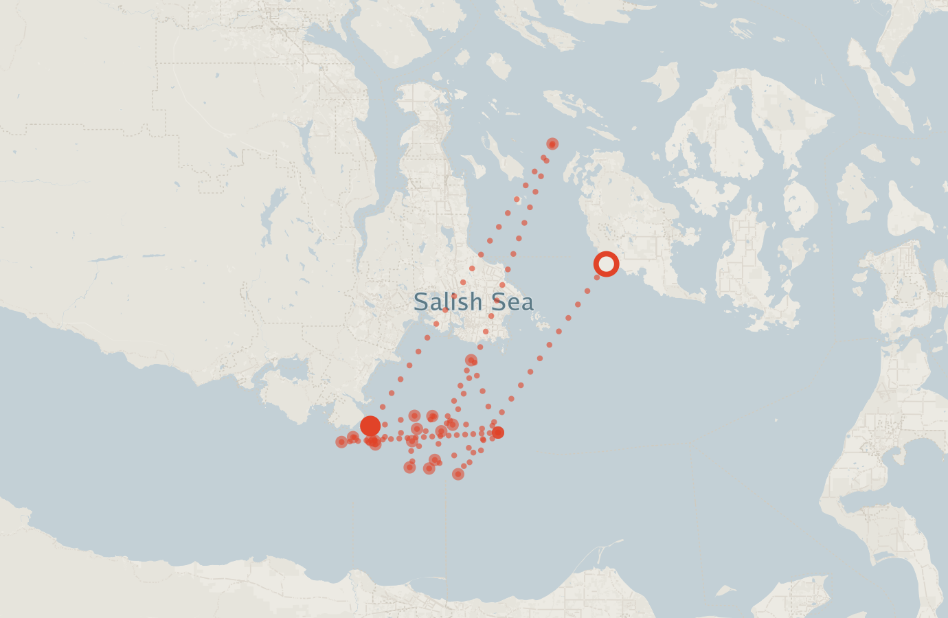 Activity map — real sighting points on an OpenStreetMap basemap