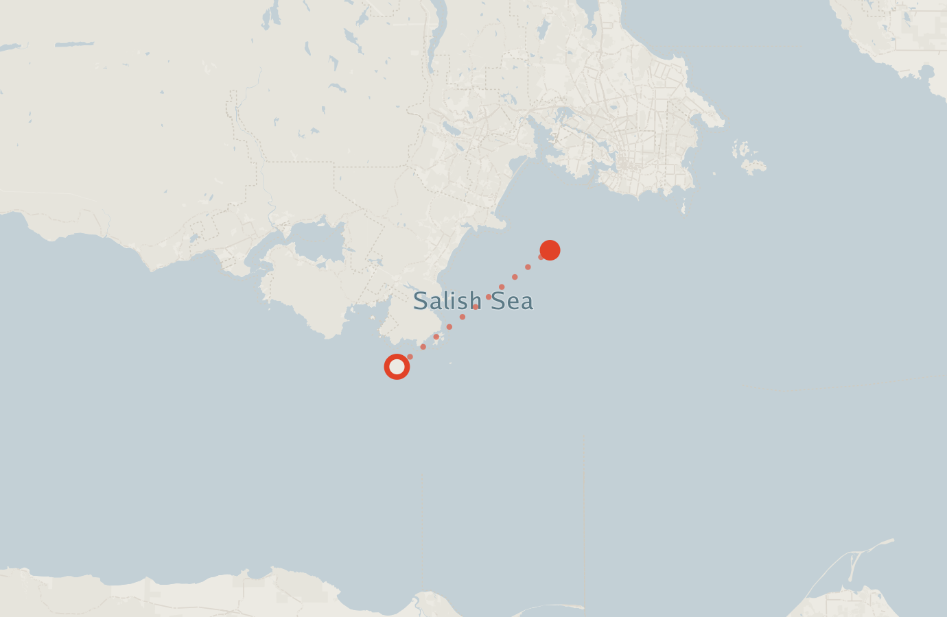 Activity map — real sighting points on an OpenStreetMap basemap