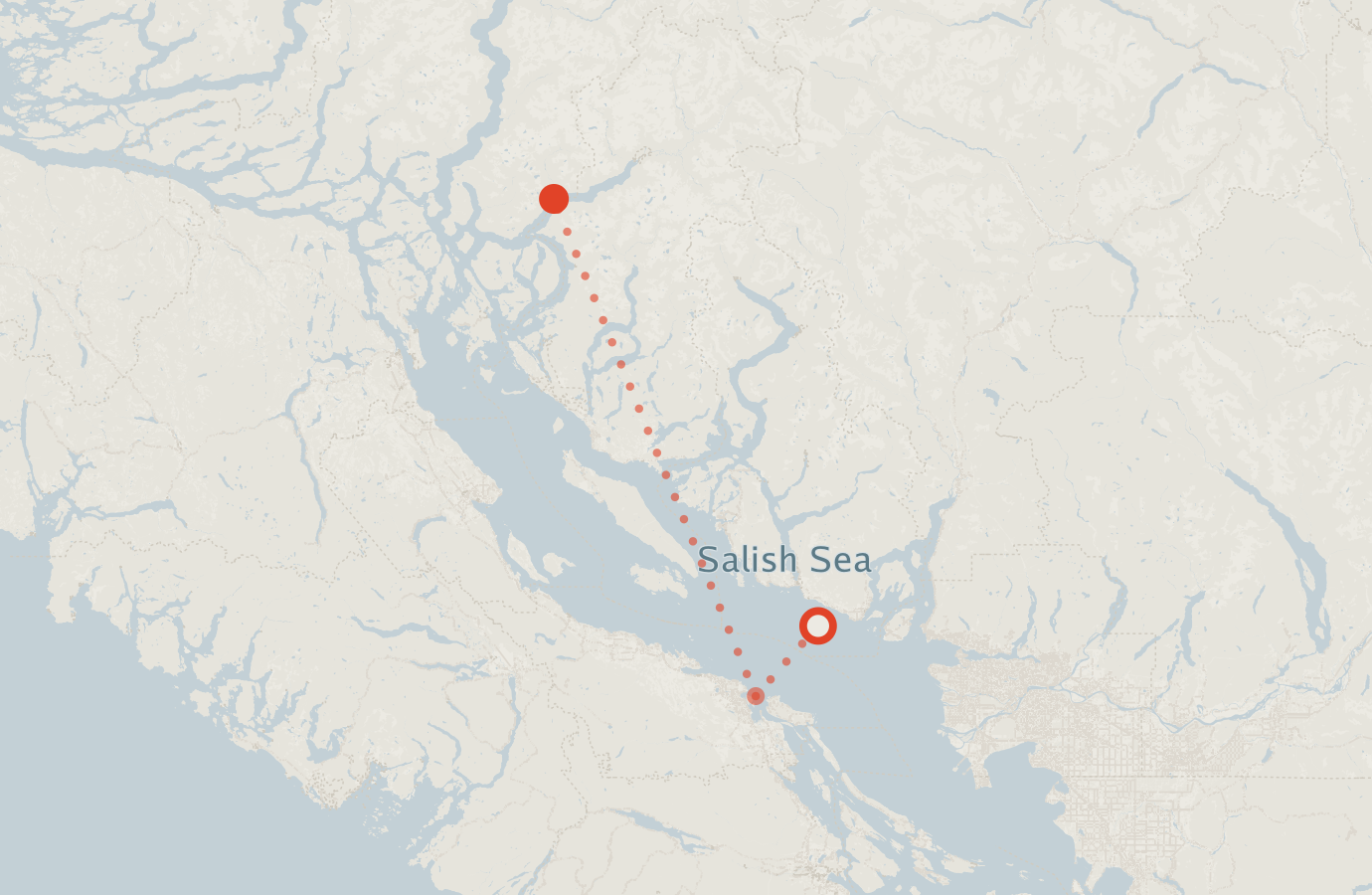 Activity map — real sighting points on an OpenStreetMap basemap
