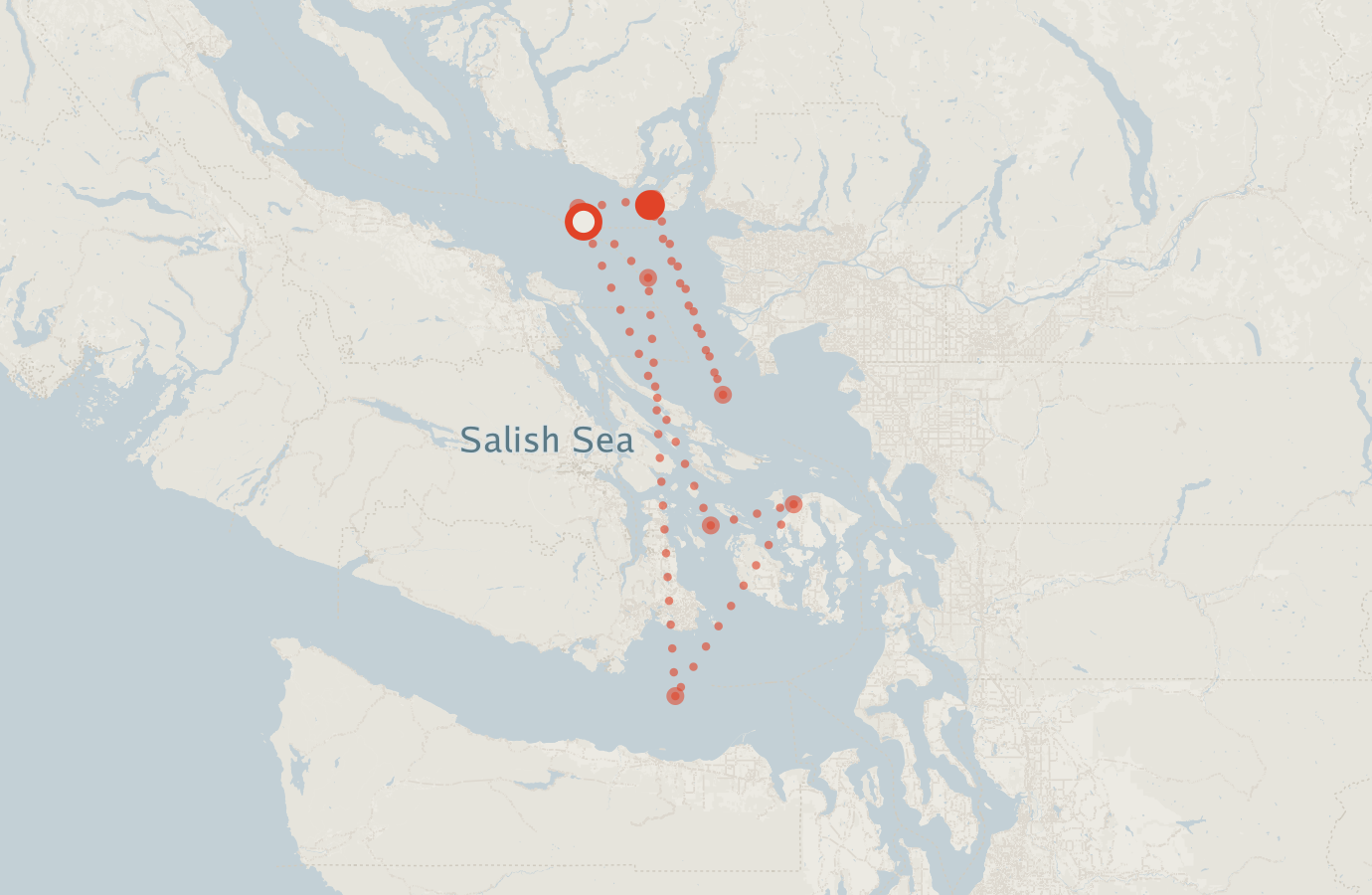 Activity map — real sighting points on an OpenStreetMap basemap
