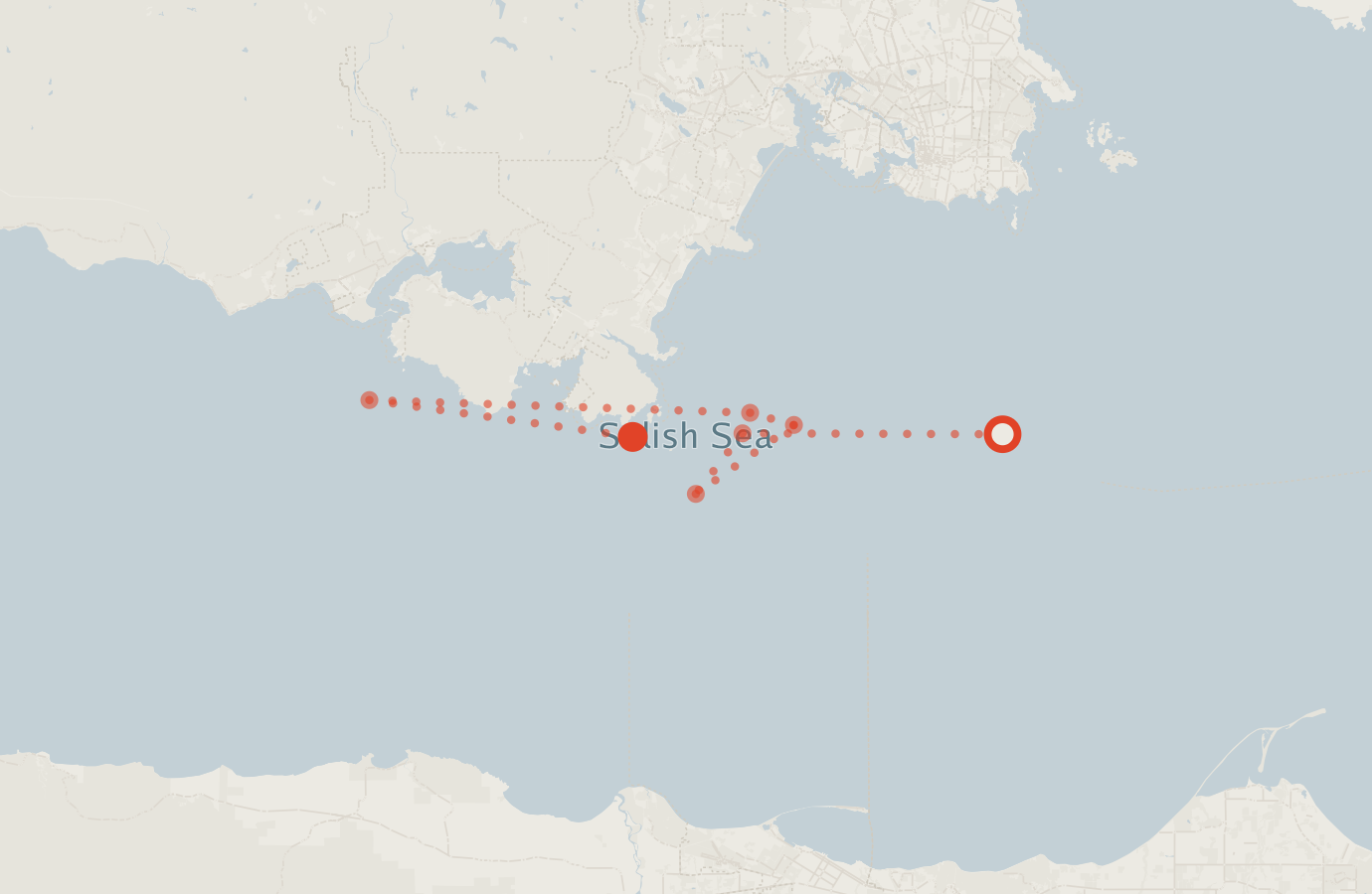 Activity map — real sighting points on an OpenStreetMap basemap