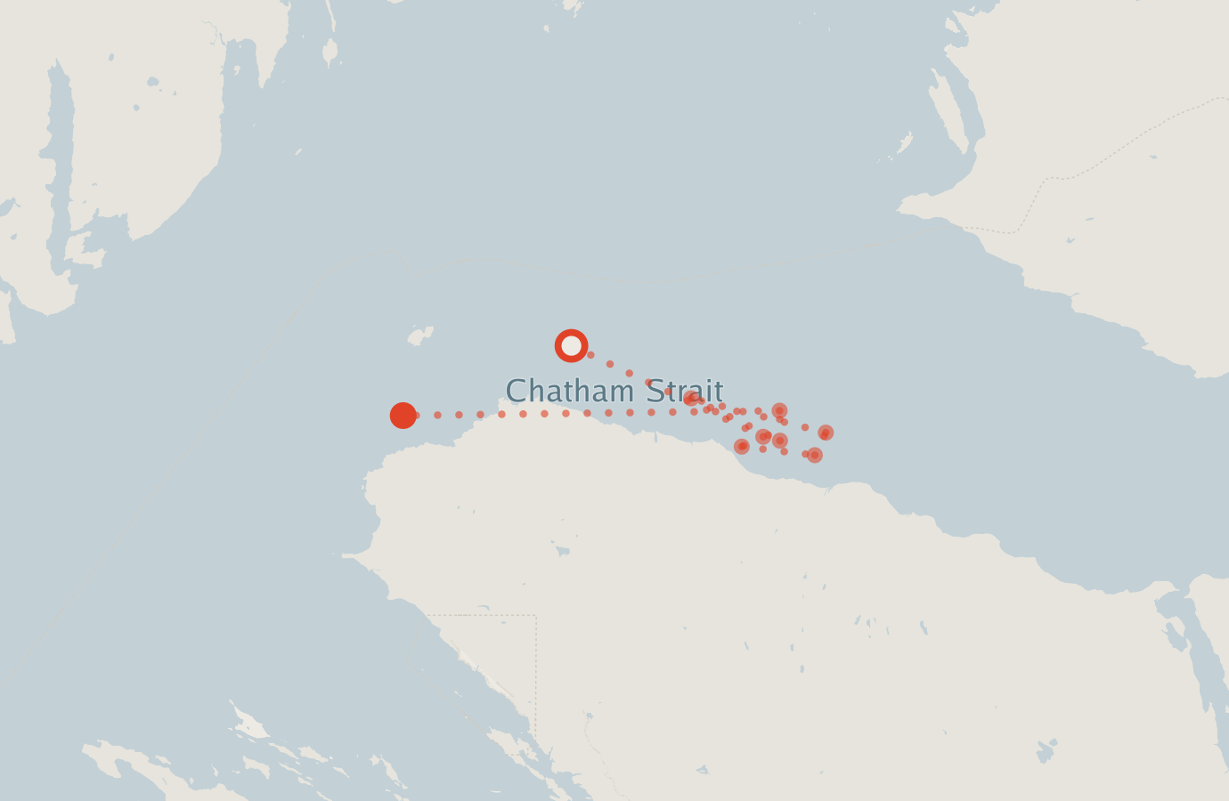 Activity map — real sighting points on an OpenStreetMap basemap