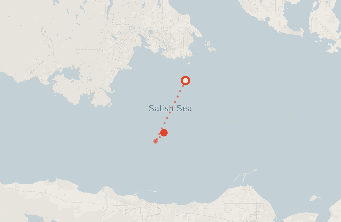 Activity map — real sighting points on an OpenStreetMap basemap