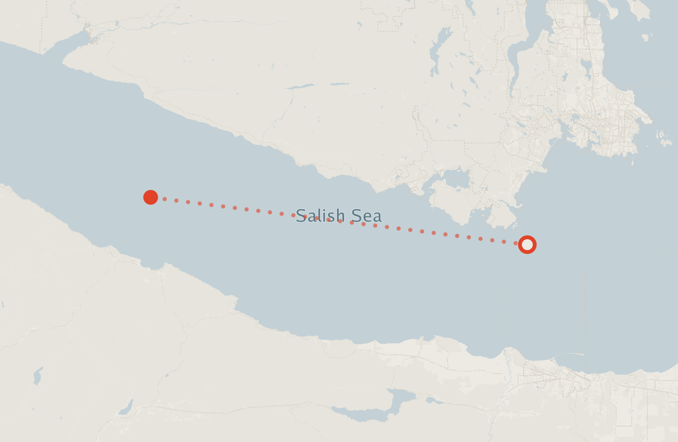 Activity map — real sighting points on an OpenStreetMap basemap