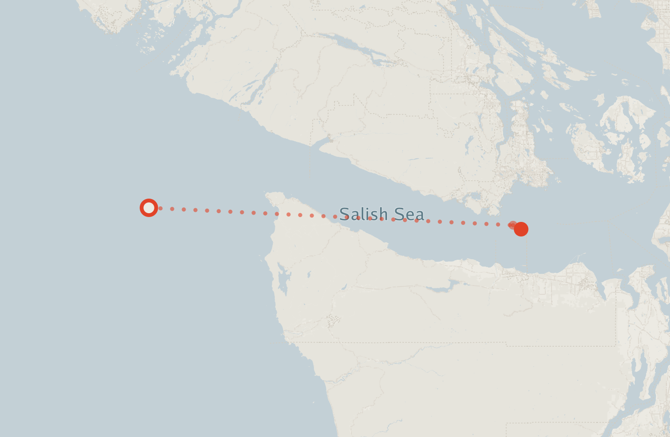 Activity map — real sighting points on an OpenStreetMap basemap