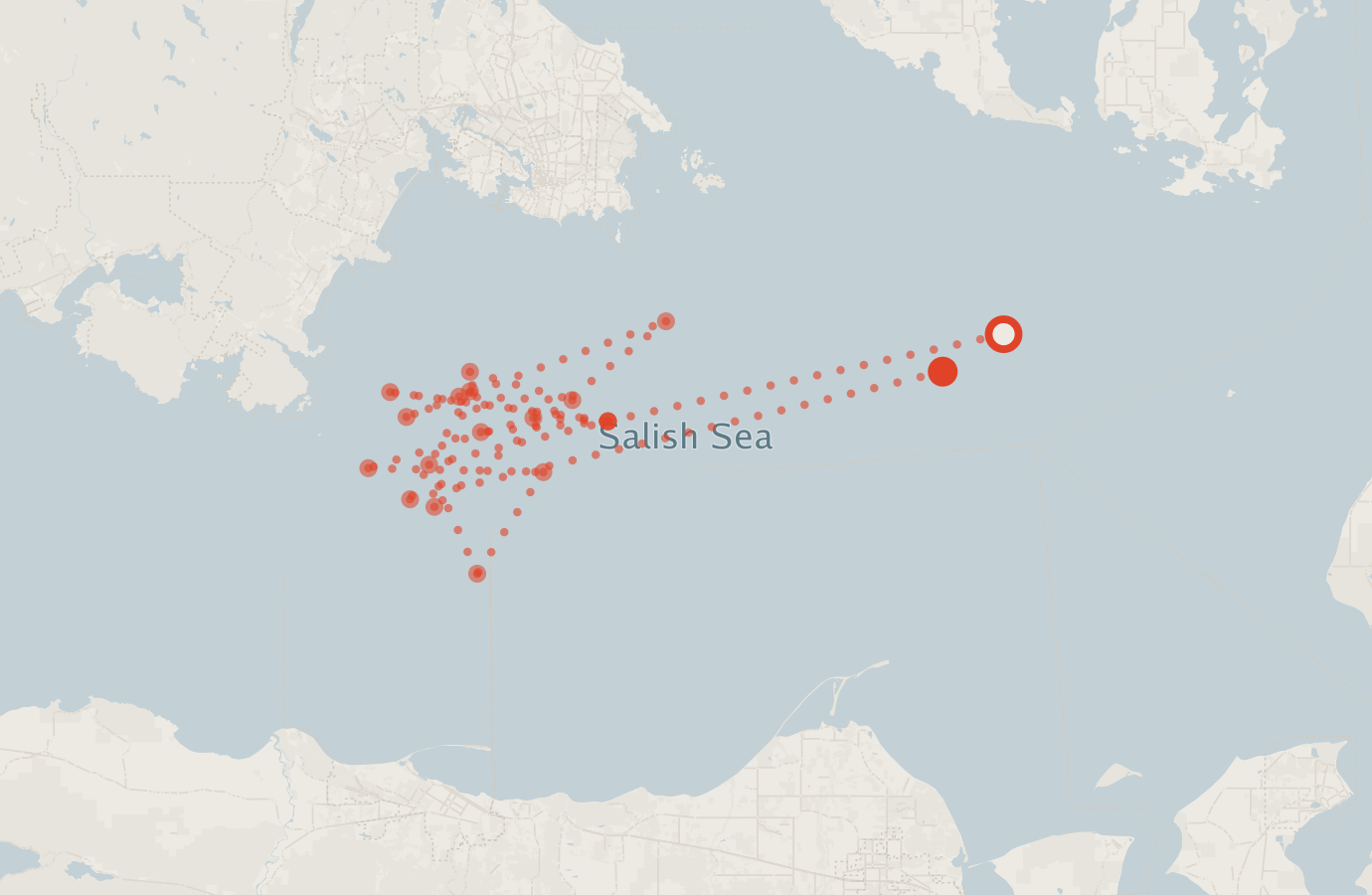 Activity map — real sighting points on an OpenStreetMap basemap