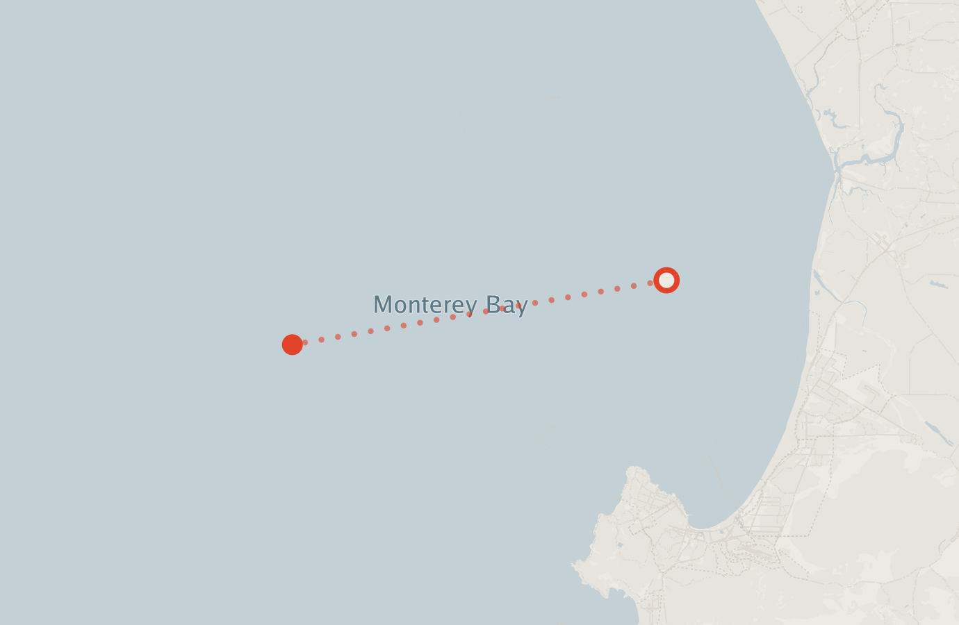 Activity map — real sighting points on an OpenStreetMap basemap
