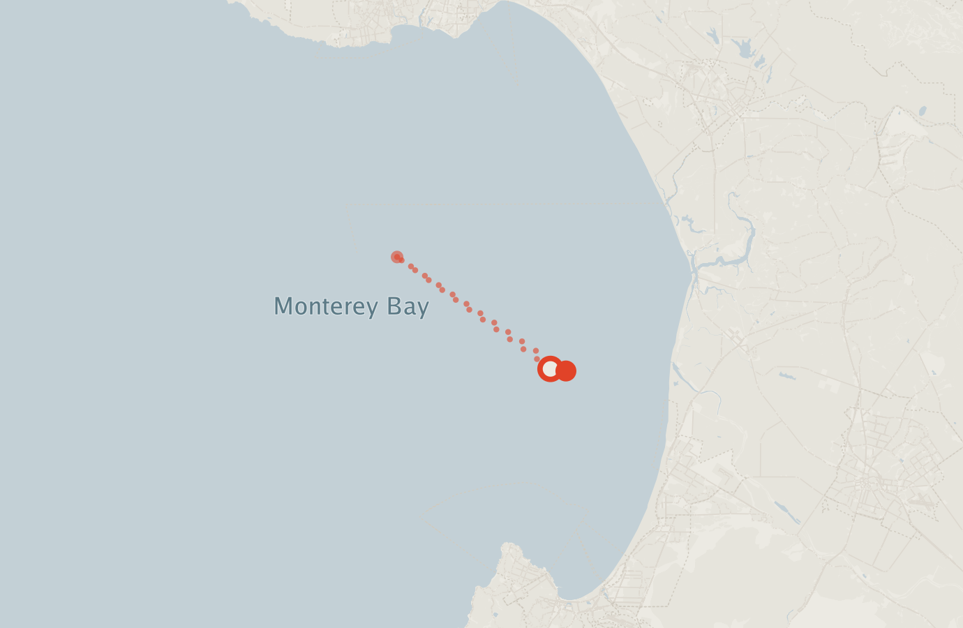 Activity map — real sighting points on an OpenStreetMap basemap