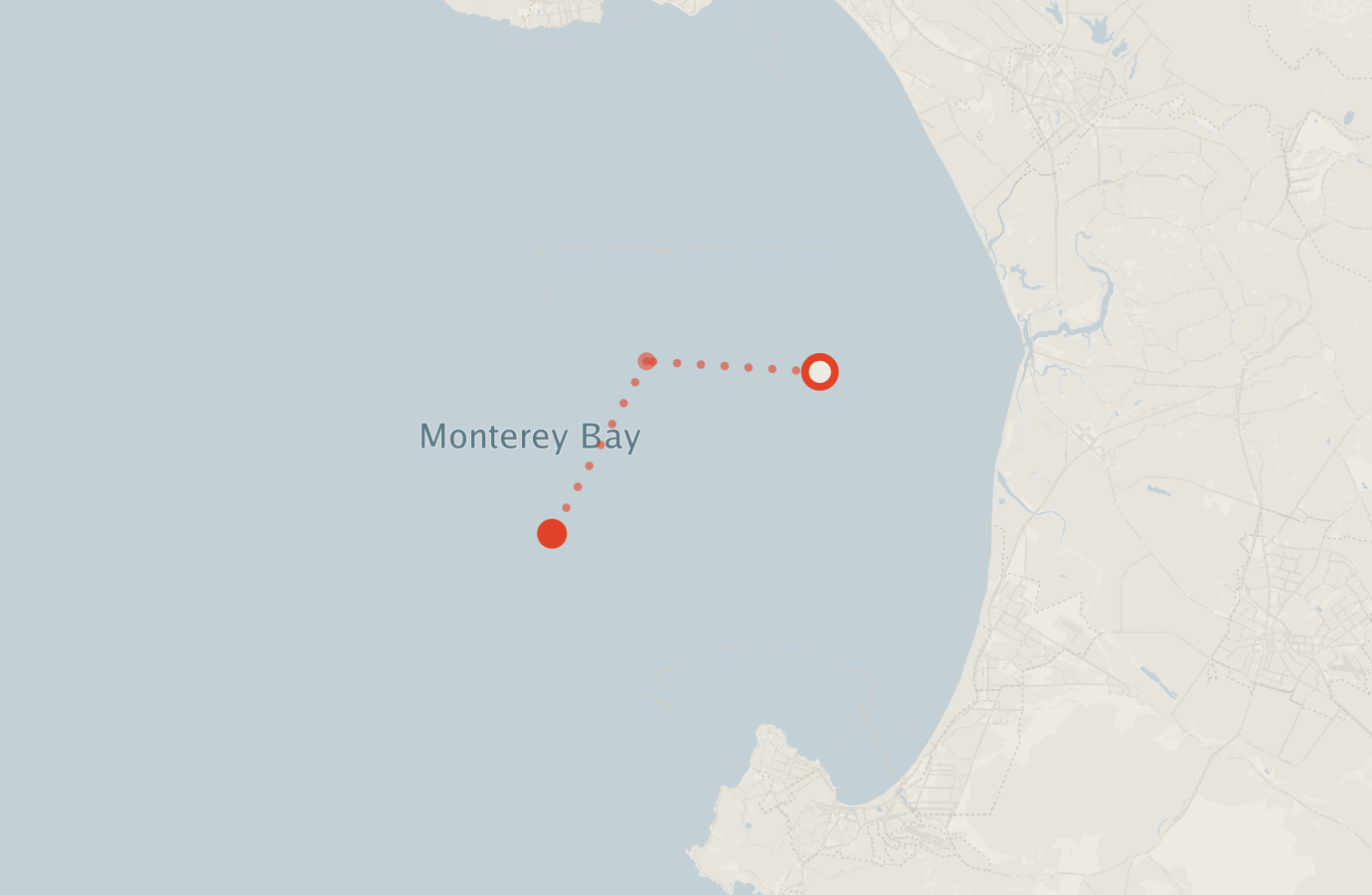 Activity map — real sighting points on an OpenStreetMap basemap