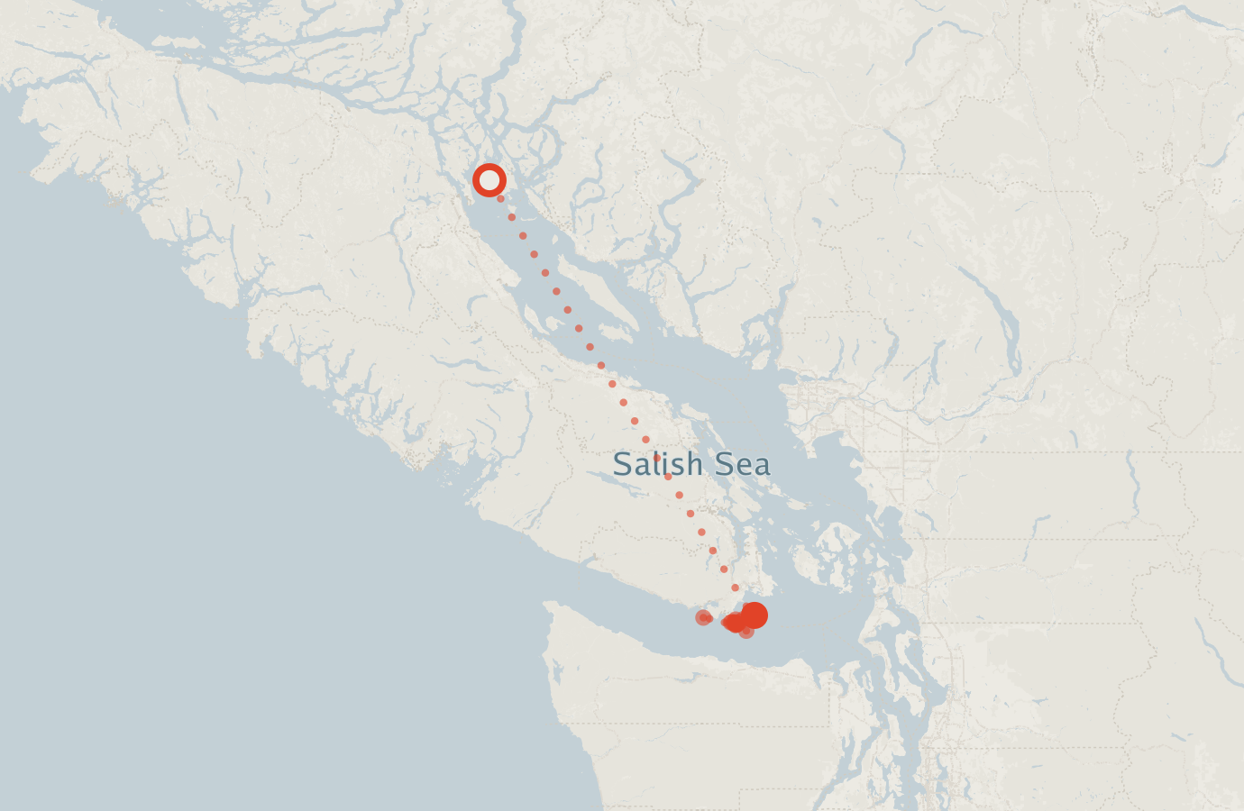 Activity map — real sighting points on an OpenStreetMap basemap