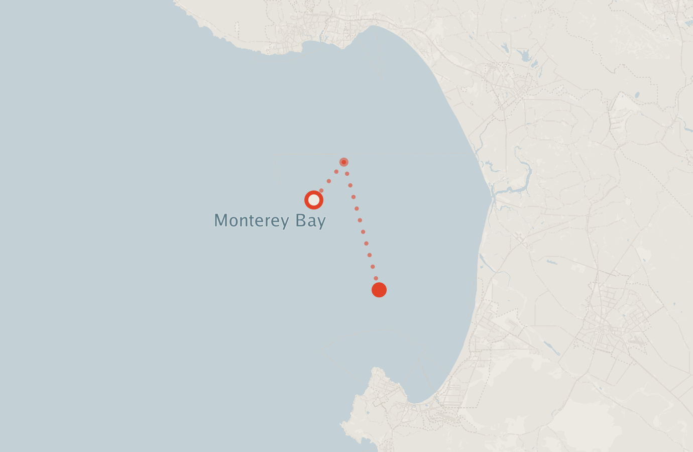 Activity map — real sighting points on an OpenStreetMap basemap