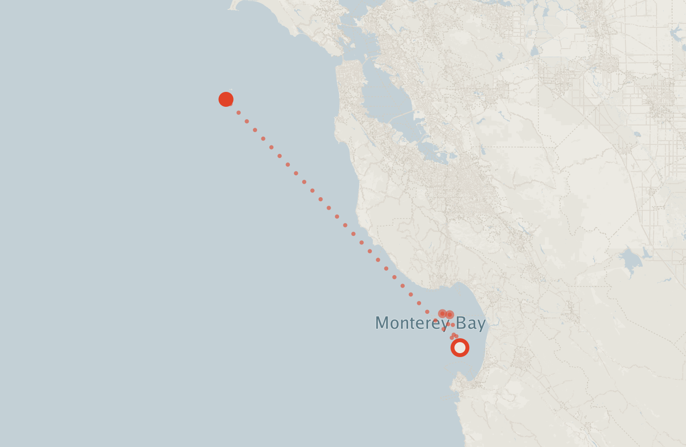 Activity map — real sighting points on an OpenStreetMap basemap