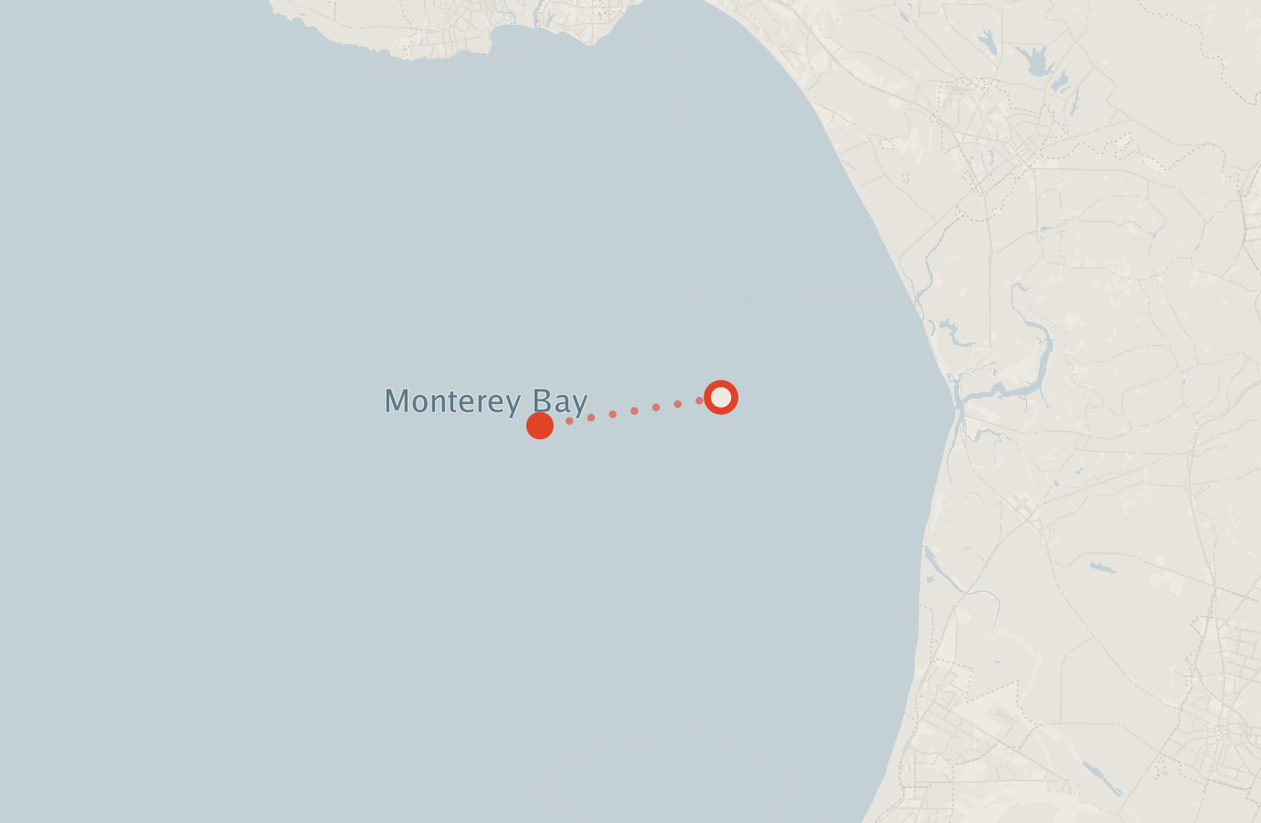 Activity map — real sighting points on an OpenStreetMap basemap