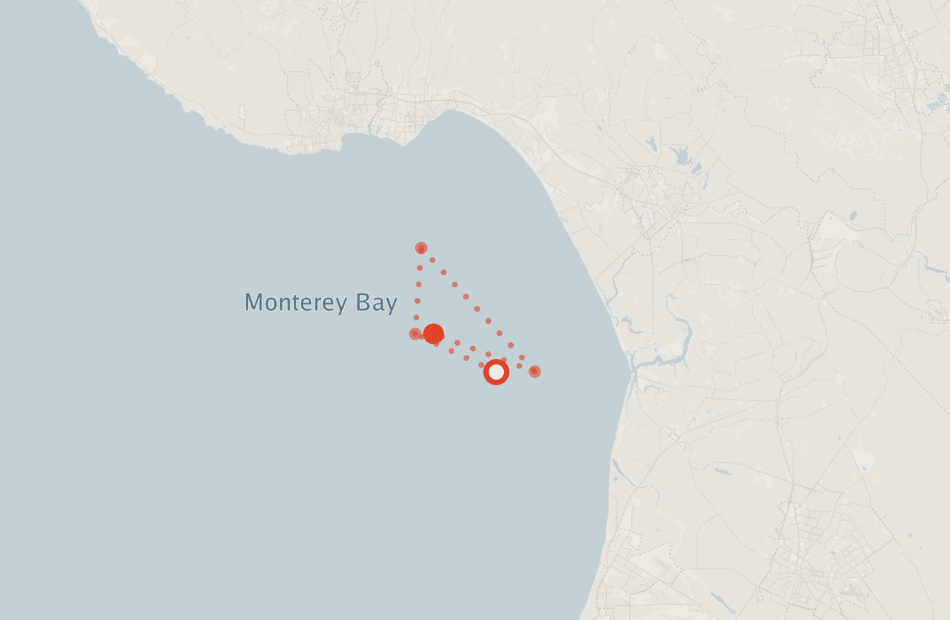 Activity map — real sighting points on an OpenStreetMap basemap