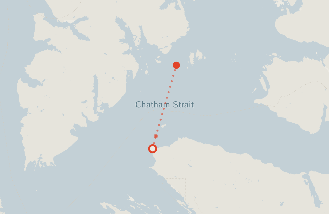 Activity map — real sighting points on an OpenStreetMap basemap