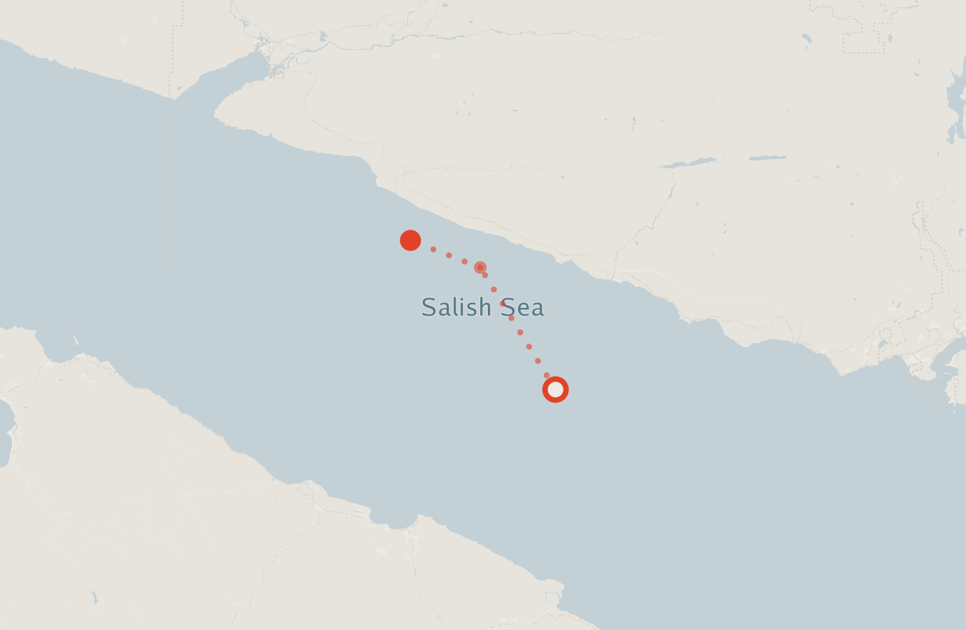 Activity map — real sighting points on an OpenStreetMap basemap