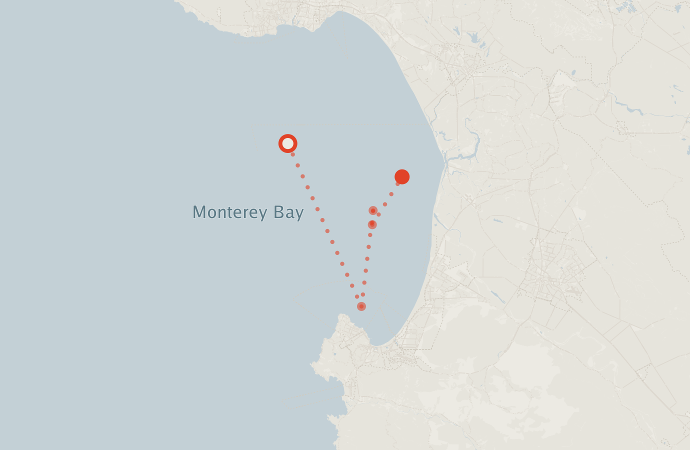 Activity map — real sighting points on an OpenStreetMap basemap
