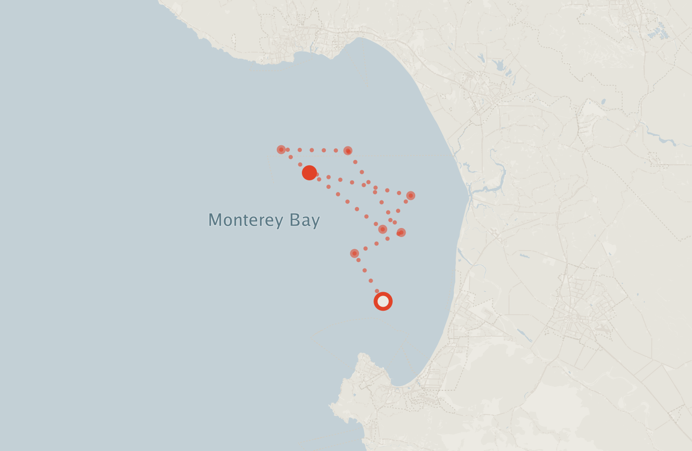 Activity map — real sighting points on an OpenStreetMap basemap